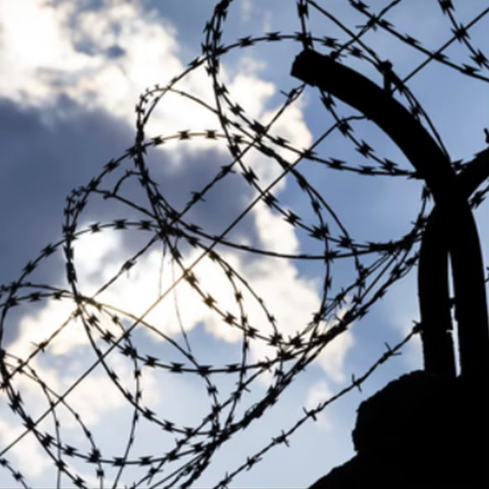 Hebei Bangjun Metal: Reliable Supplier of Wire Mesh and Fencing for Global Projects