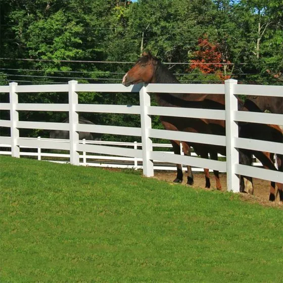 Premium PVC Horse Fencing for European Farms