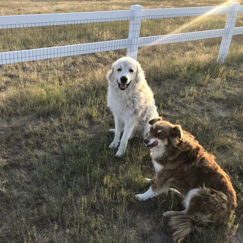 4 rail vinyl fence cost 4 rail vinyl fence cost