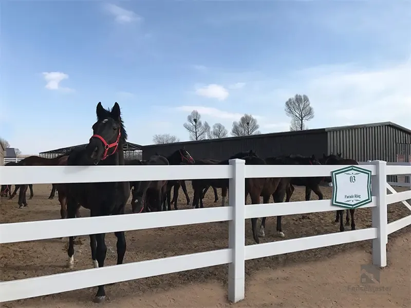 PVC Paddock Fencing
