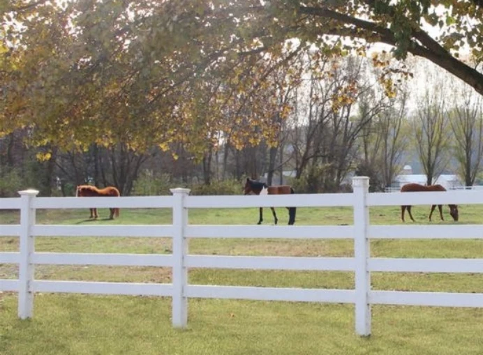The Ultimate Fencing Solutions for Your Horses