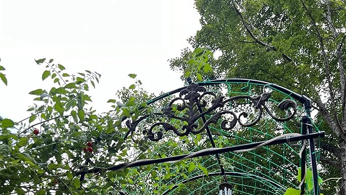 Transform Your Outdoor Space with Elegant Metal Solutions