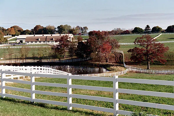 Affordable and Elegant Fencing Solutions for Your Horses Affordable and Elegant Fencing Solutions for Your Horses