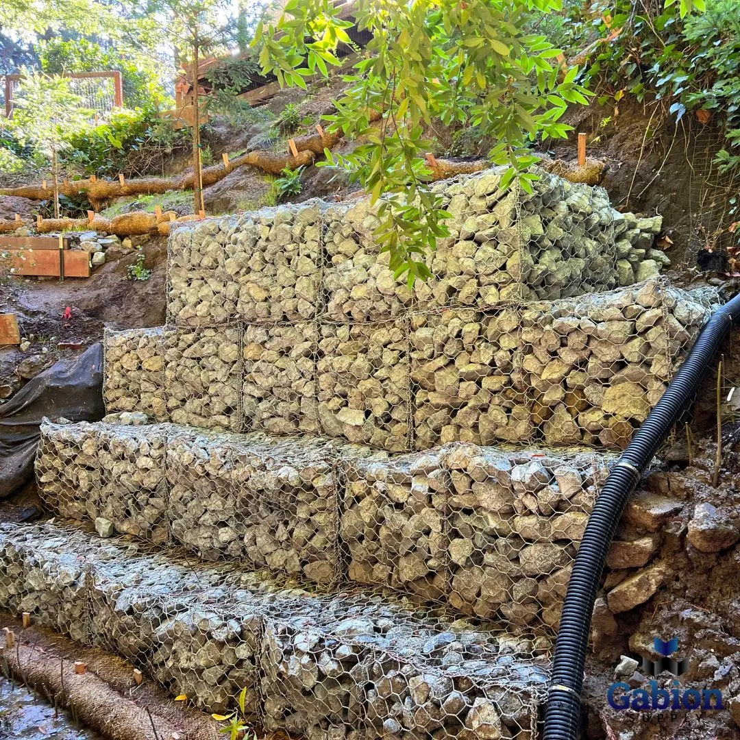 The Versatile Solution: Hexagonal Wire Mesh The Versatile Solution: Hexagonal Wire Mesh