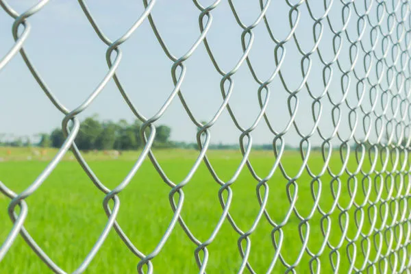 The Growing Importance of Wire Mesh Manufacturers in China: A Global Overview The Growing Importance of Wire Mesh Manufacturers in China: A Global Overview