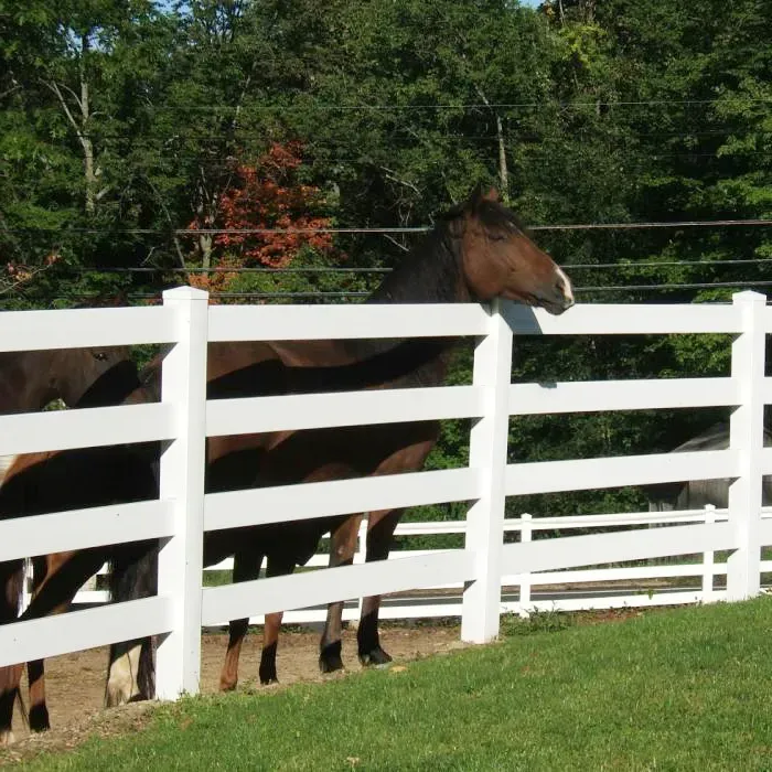 Discover Bangjun’s Reliable PVC Horse Fence: Safety and Durability for Your Pastures Discover Bangjun’s Reliable PVC Horse Fence: Safety and Durability for Your Pastures