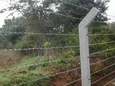 What is Barbed Wire Used For? What is Barbed Wire Used For?