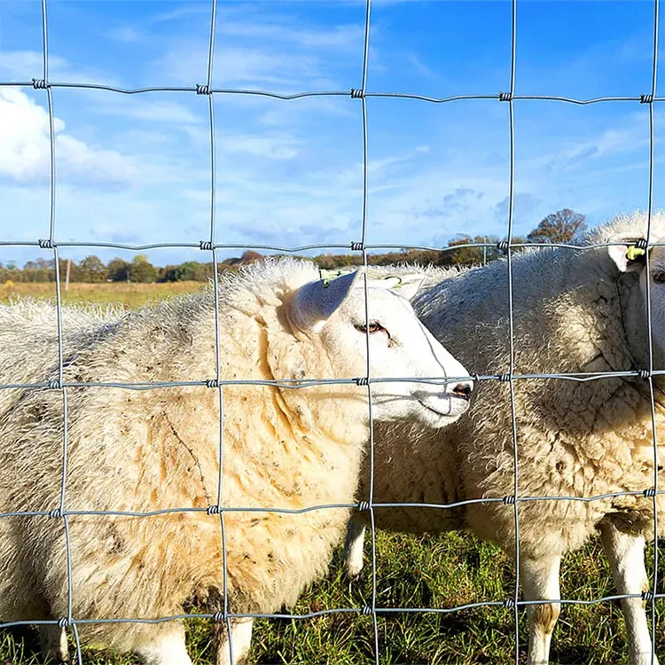 Secure Your Farm with Reliable Livestock Fences