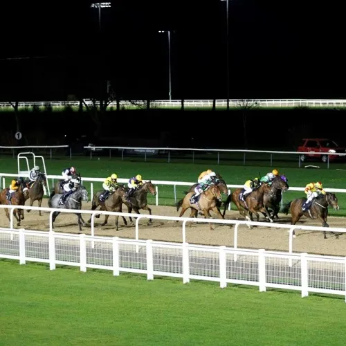 PVC Crowd Barriers for EQUESTRIAN & RACING